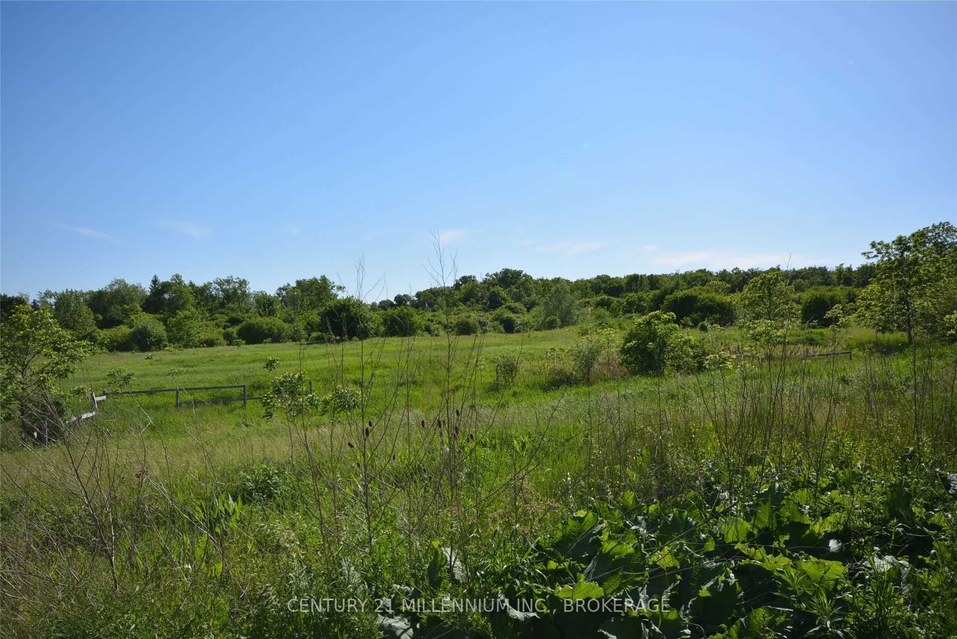 Listing W5704341 - Large Photo # 7