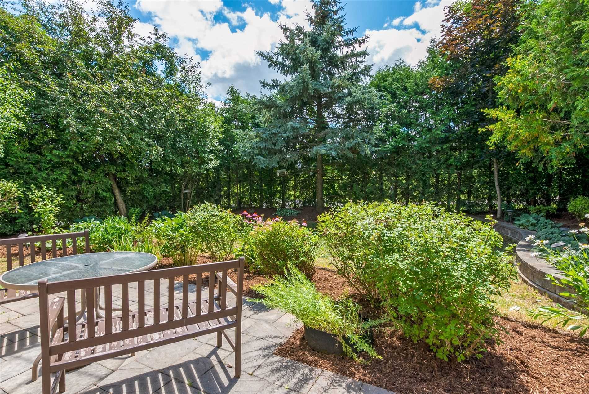 123 Meadow Dr