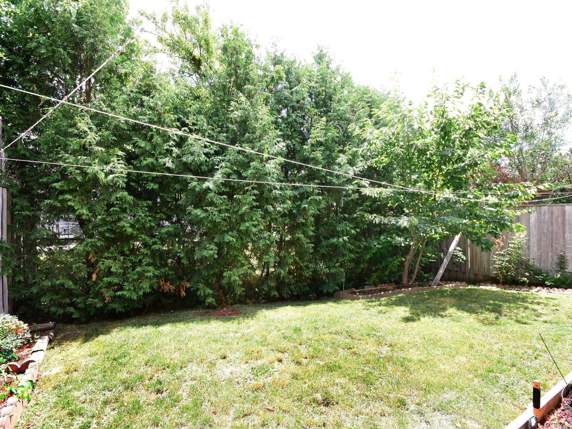 Listing W5748344 - Large Photo # 39