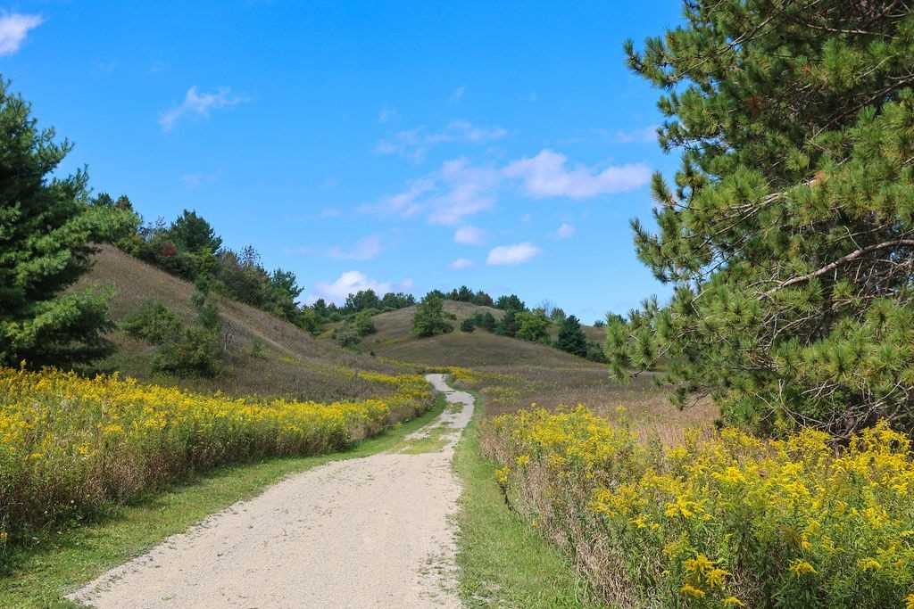 Listing W5758625 - Large Photo # 37