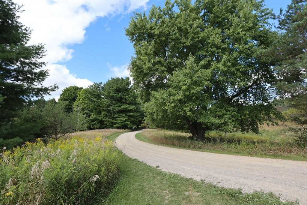 Listing W5758625 - Large Photo # 11