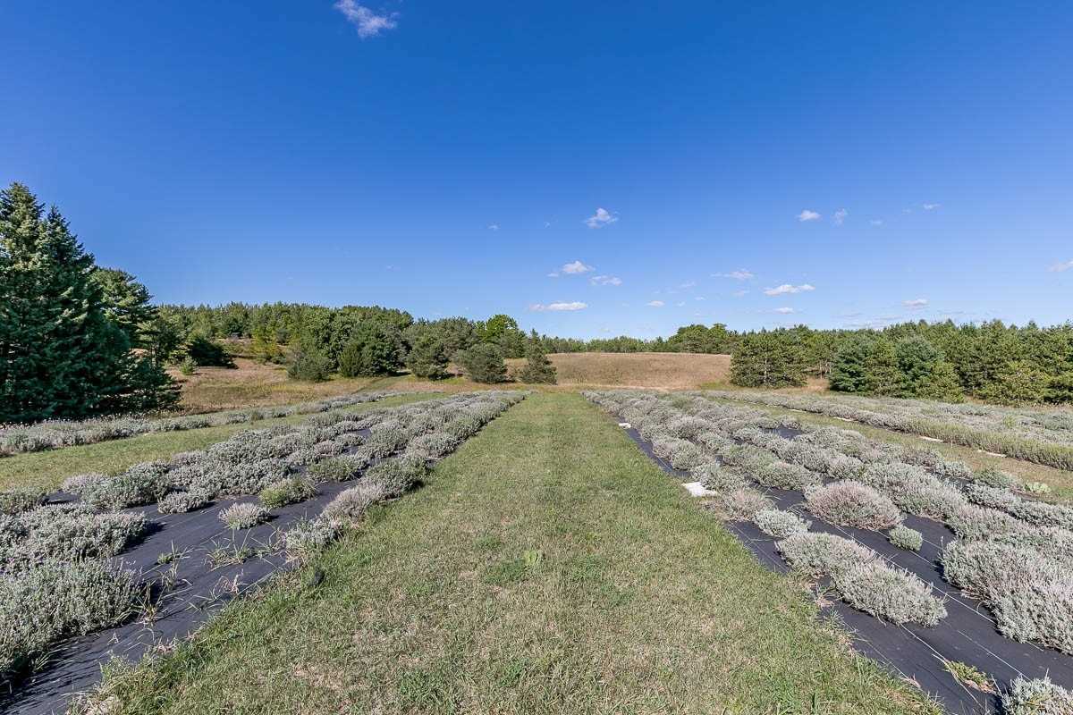 Listing W5758625 - Large Photo # 8