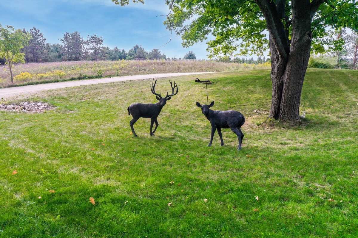 Listing W5758625 - Large Photo # 3