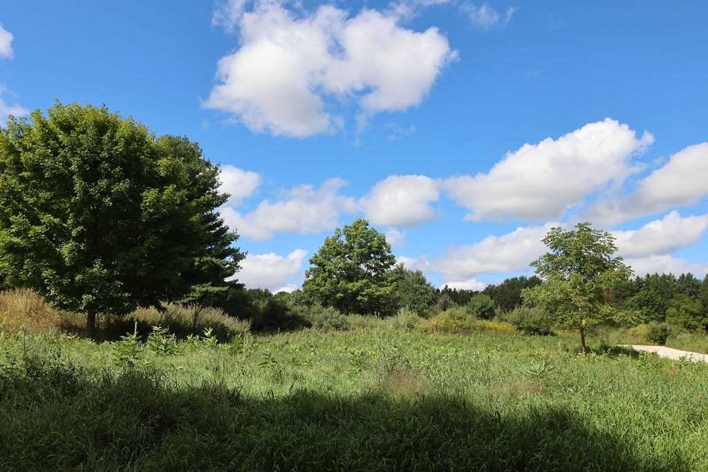 Listing W5758625 - Large Photo # 21