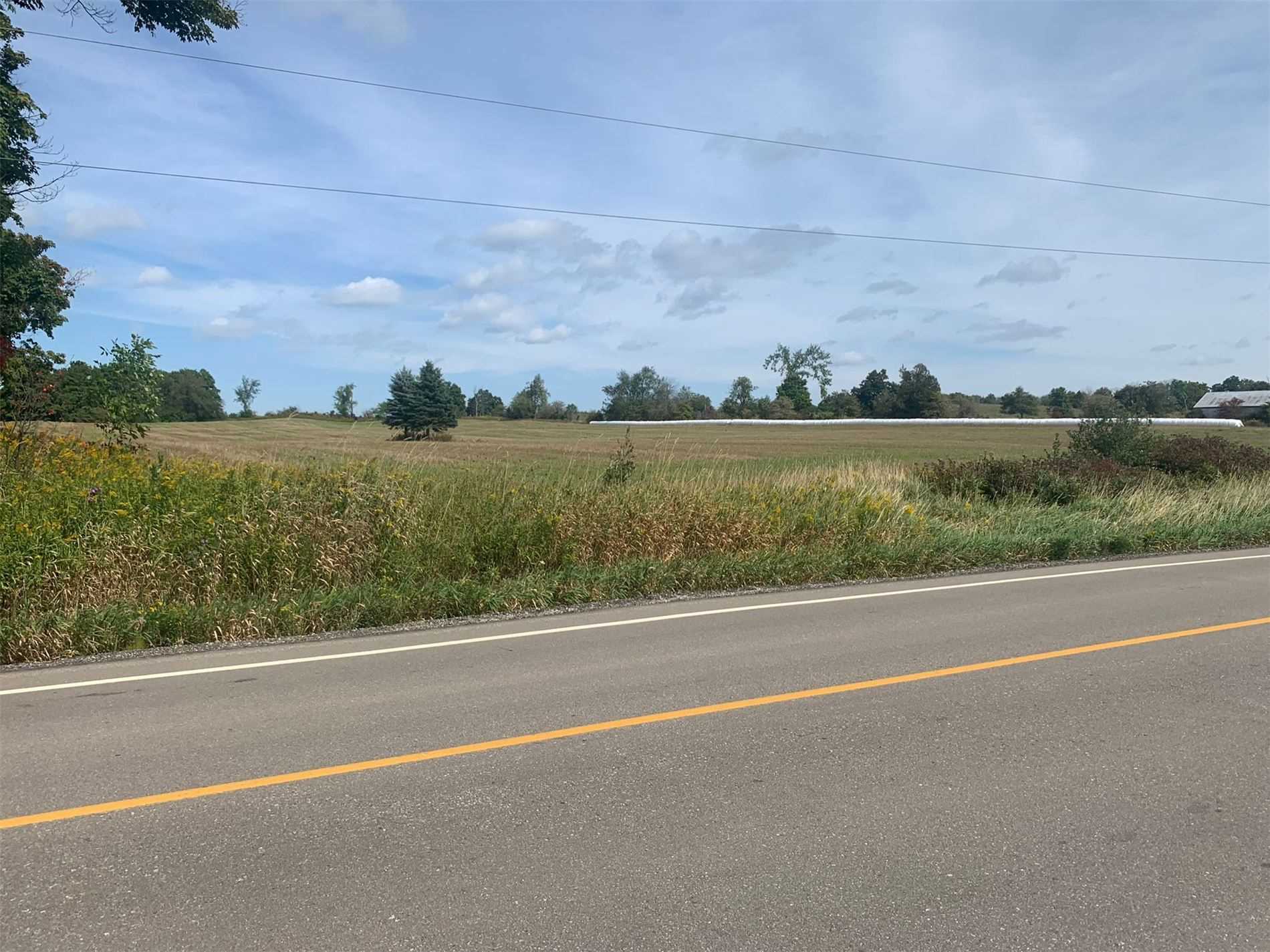 Listing W5768748 - Large Photo # 5