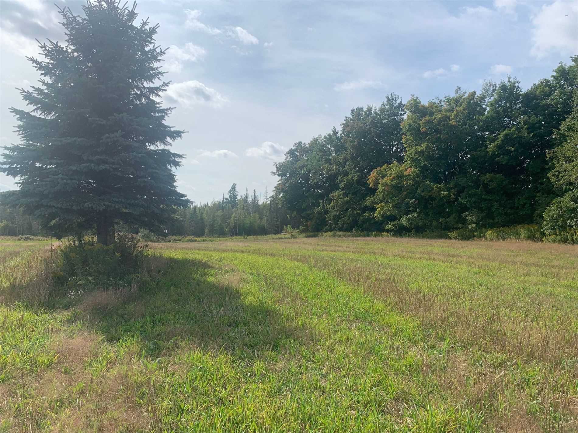 Listing W5768748 - Large Photo # 3