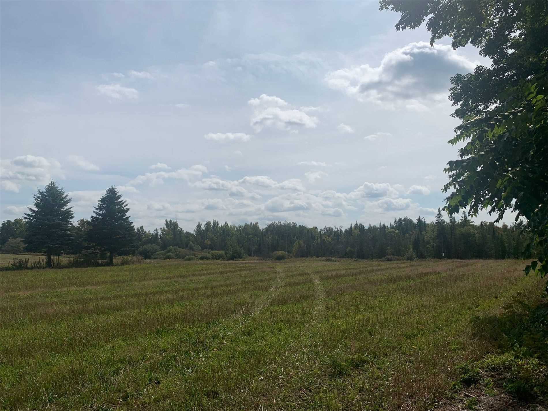 Listing W5768748 - Large Photo # 4