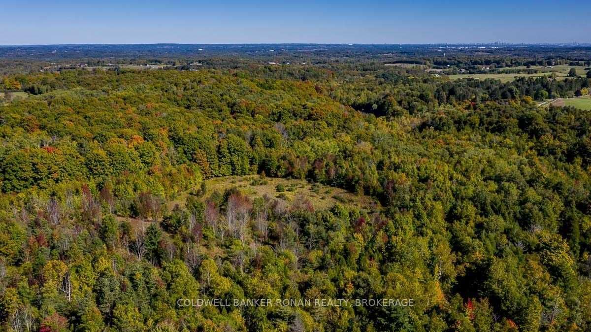 Listing W5782979 - Large Photo # 30
