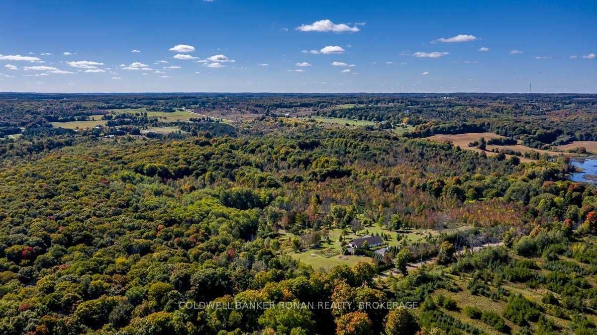 Listing W5782979 - Large Photo # 22