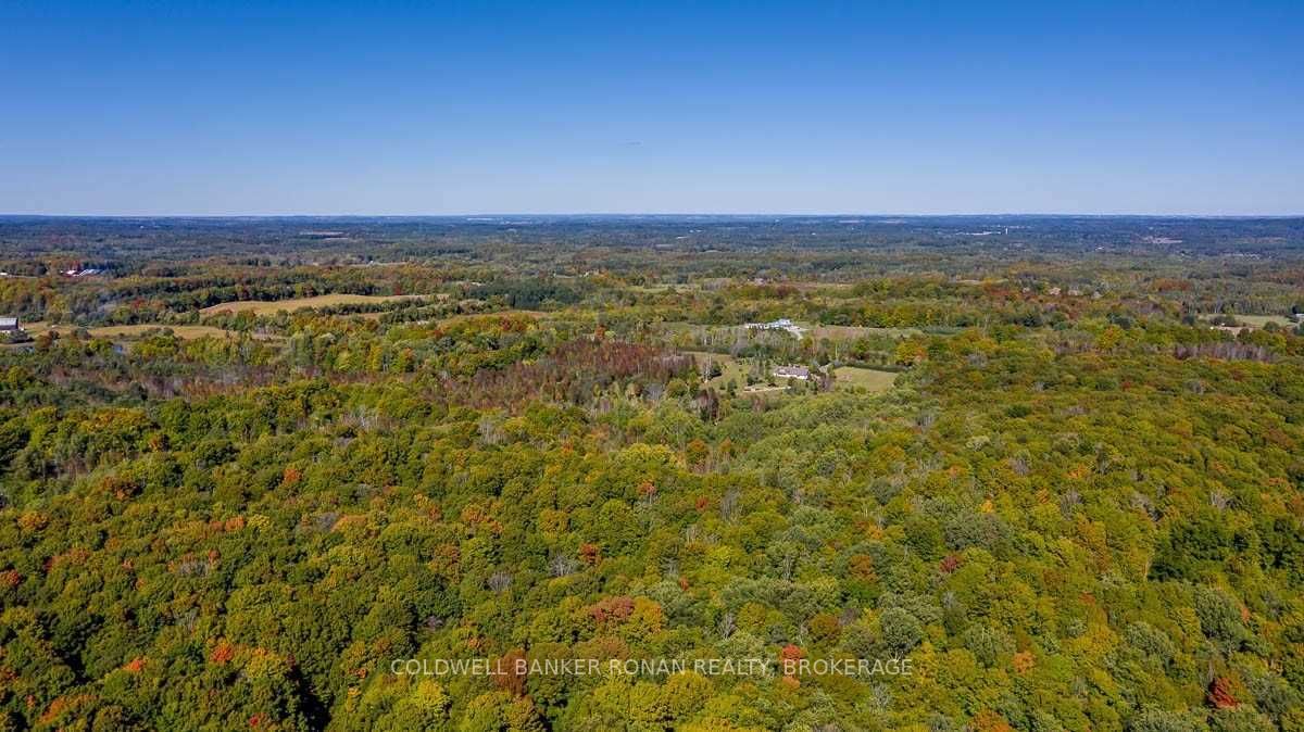 Listing W5782979 - Large Photo # 31