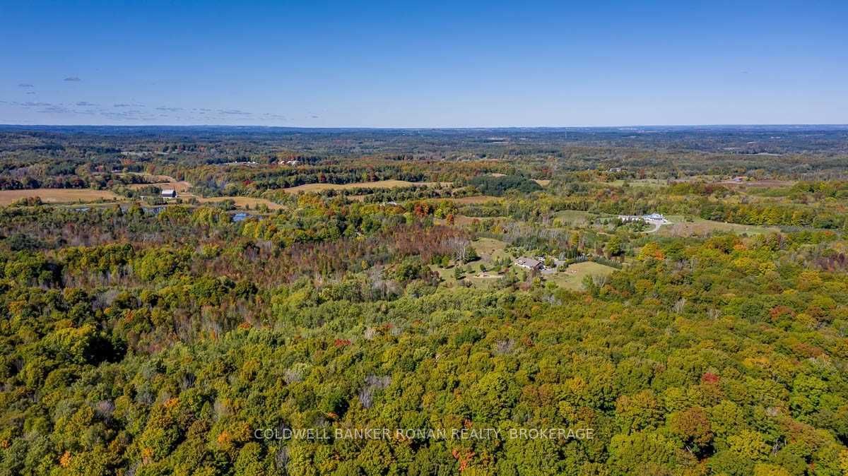 Listing W5782979 - Large Photo # 25