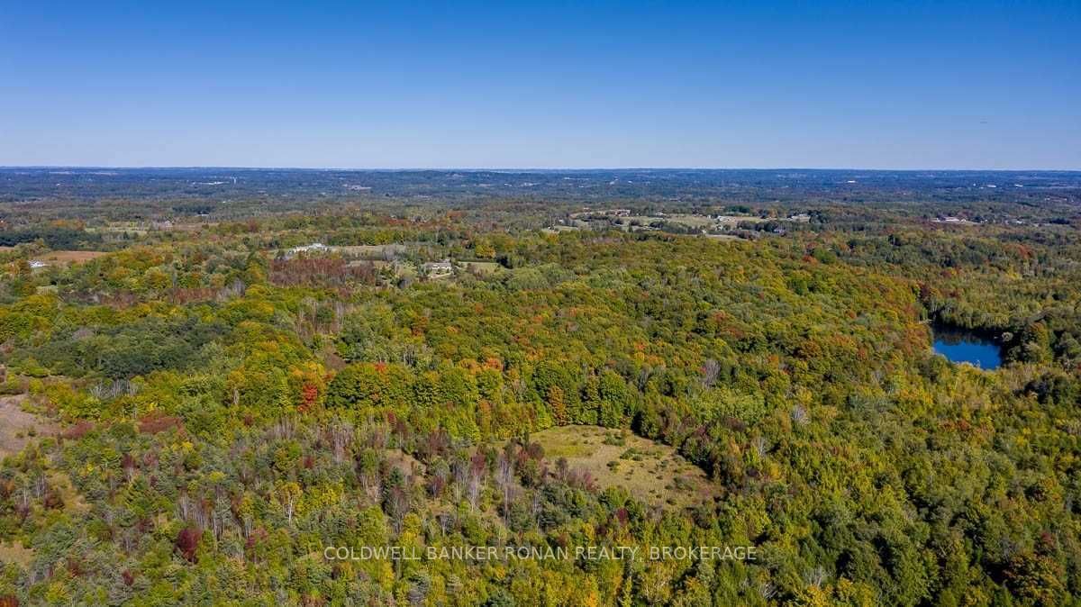 Listing W5782999 - Large Photo # 27