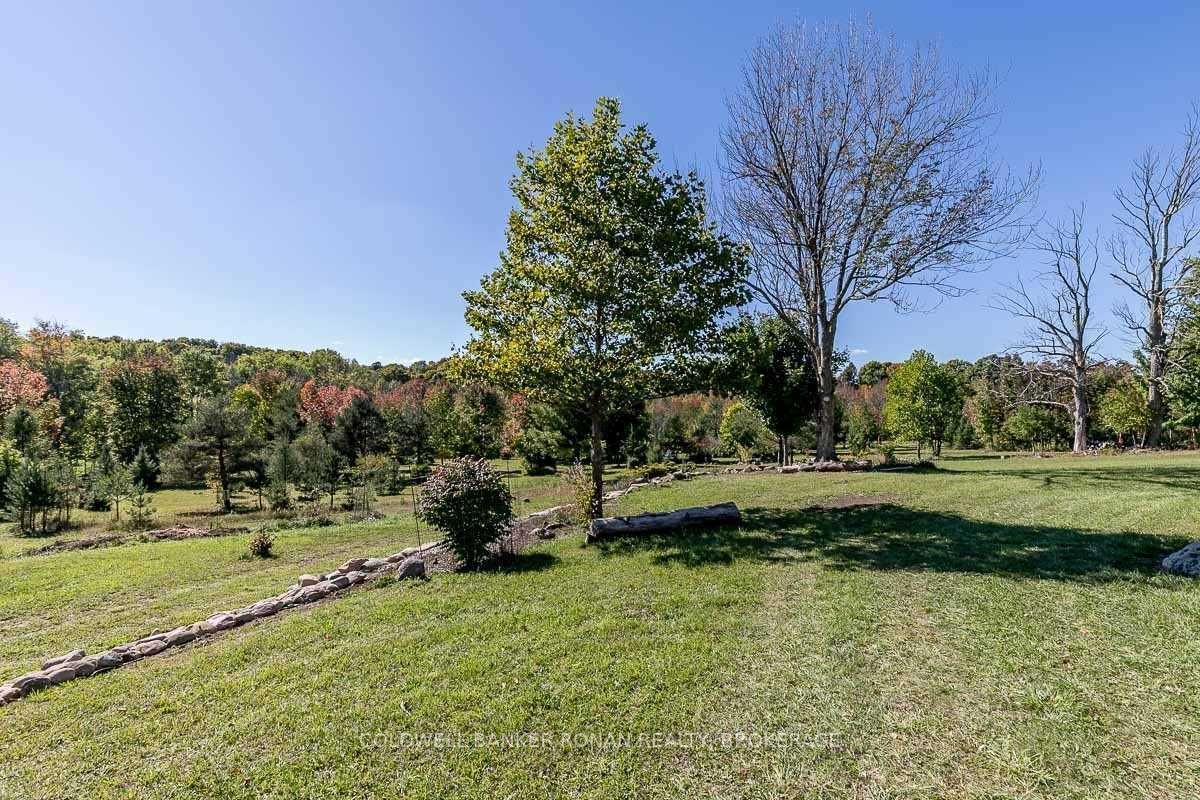 Listing W5782999 - Large Photo # 12