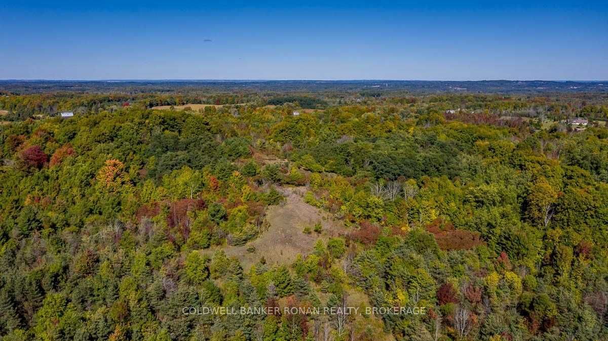 Listing W5782999 - Large Photo # 26