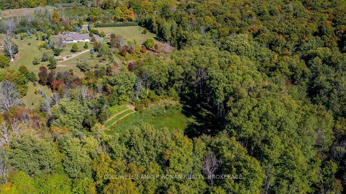 Listing W5782999 - Large Photo # 4