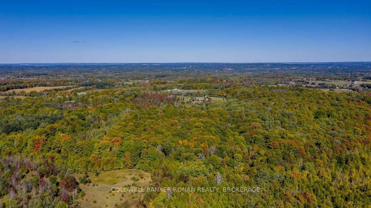 Listing W5782999 - Large Photo # 28