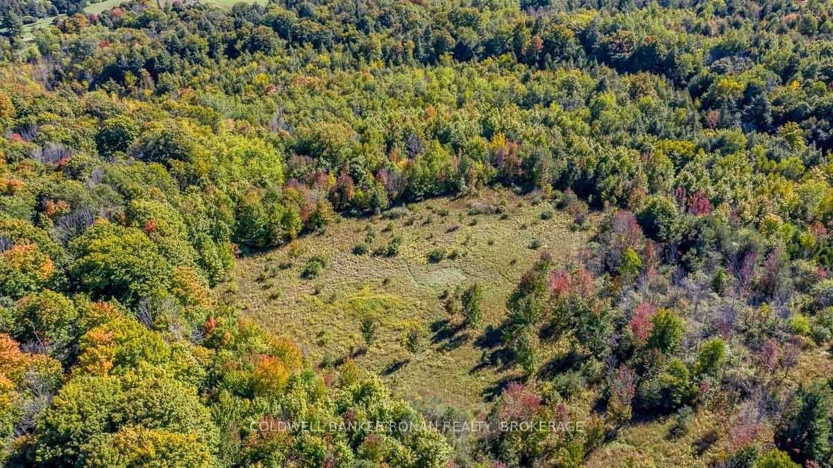 Listing W5782999 - Large Photo # 29