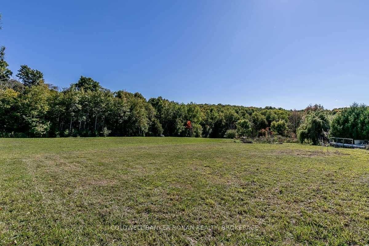Listing W5782999 - Large Photo # 6