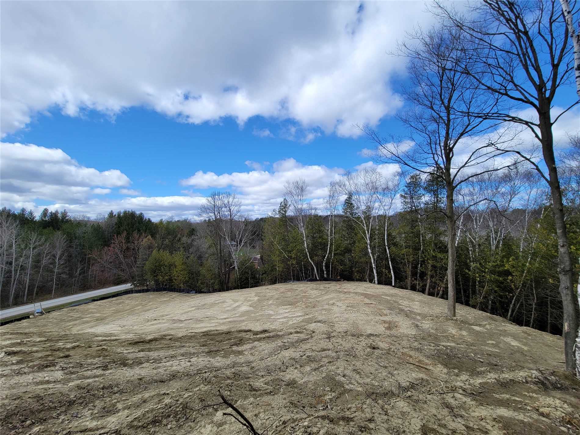 Listing W5787057 - Large Photo # 7
