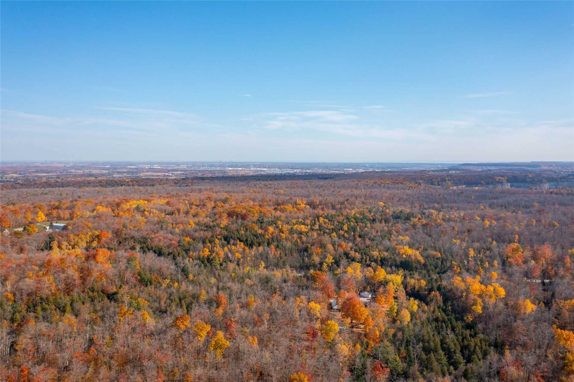 Listing W5789430 - Large Photo # 16