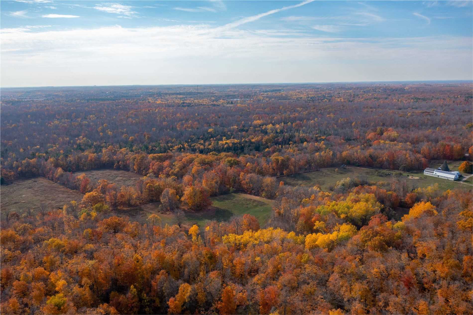 Listing W5789430 - Large Photo # 36