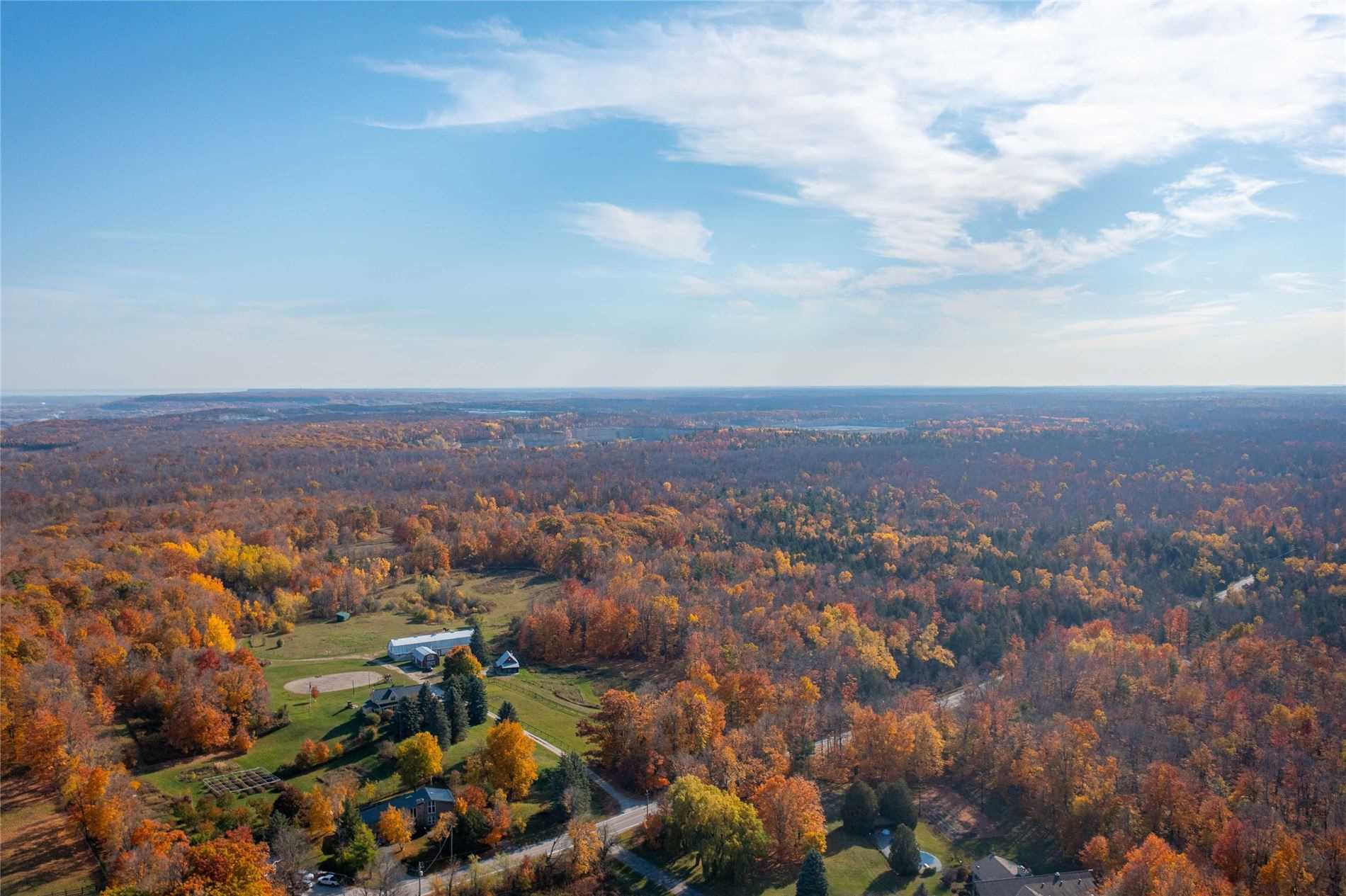 Listing W5789430 - Large Photo # 6