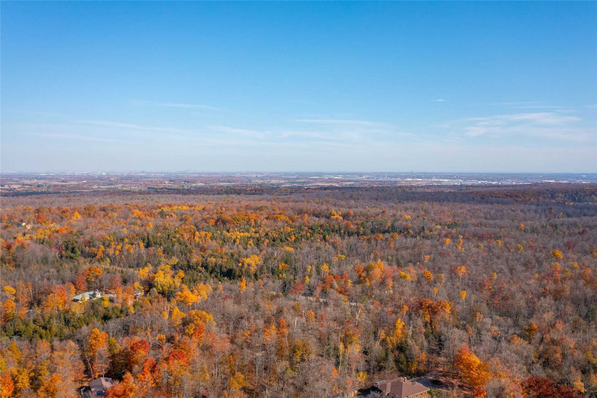 Listing W5789430 - Large Photo # 18