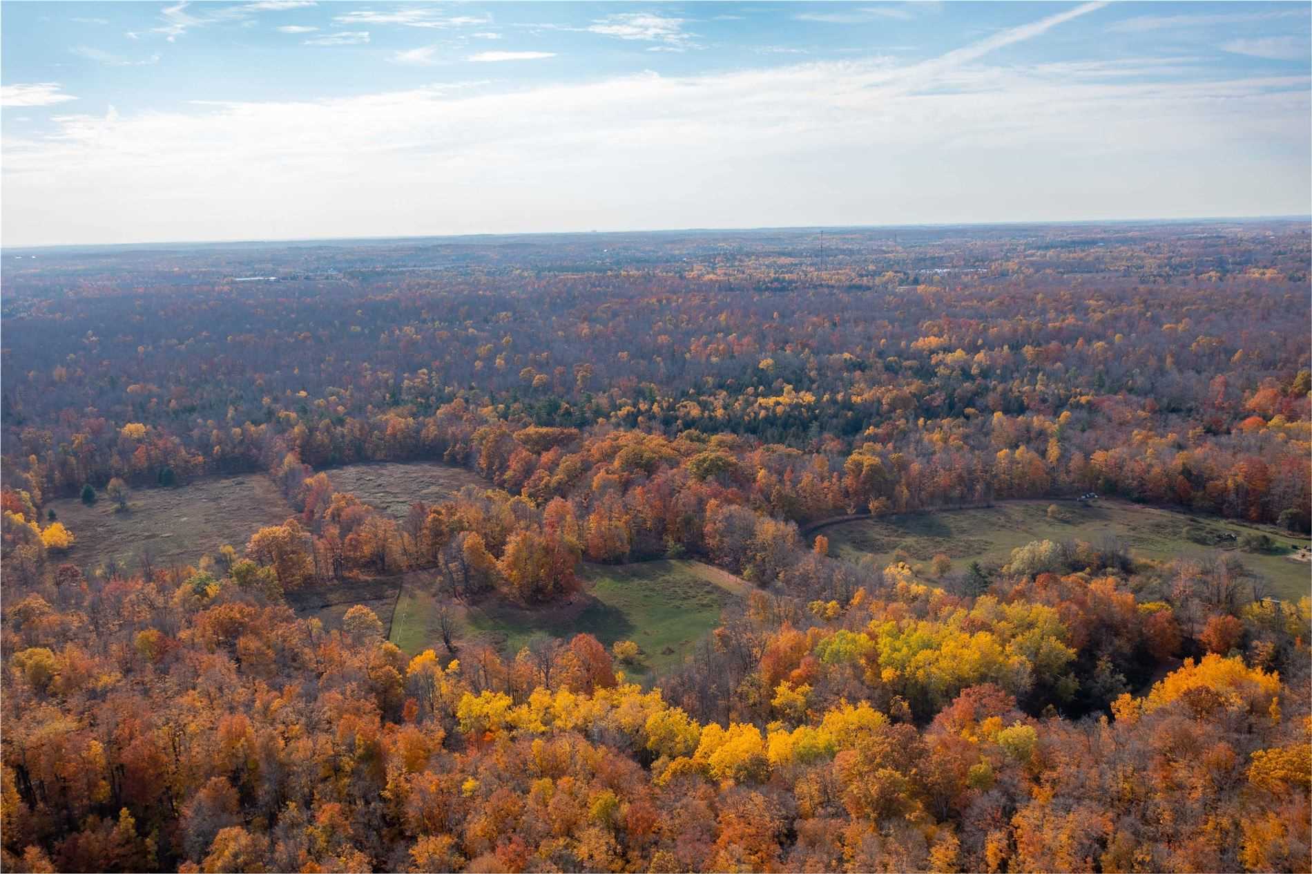 Listing W5789430 - Large Photo # 34