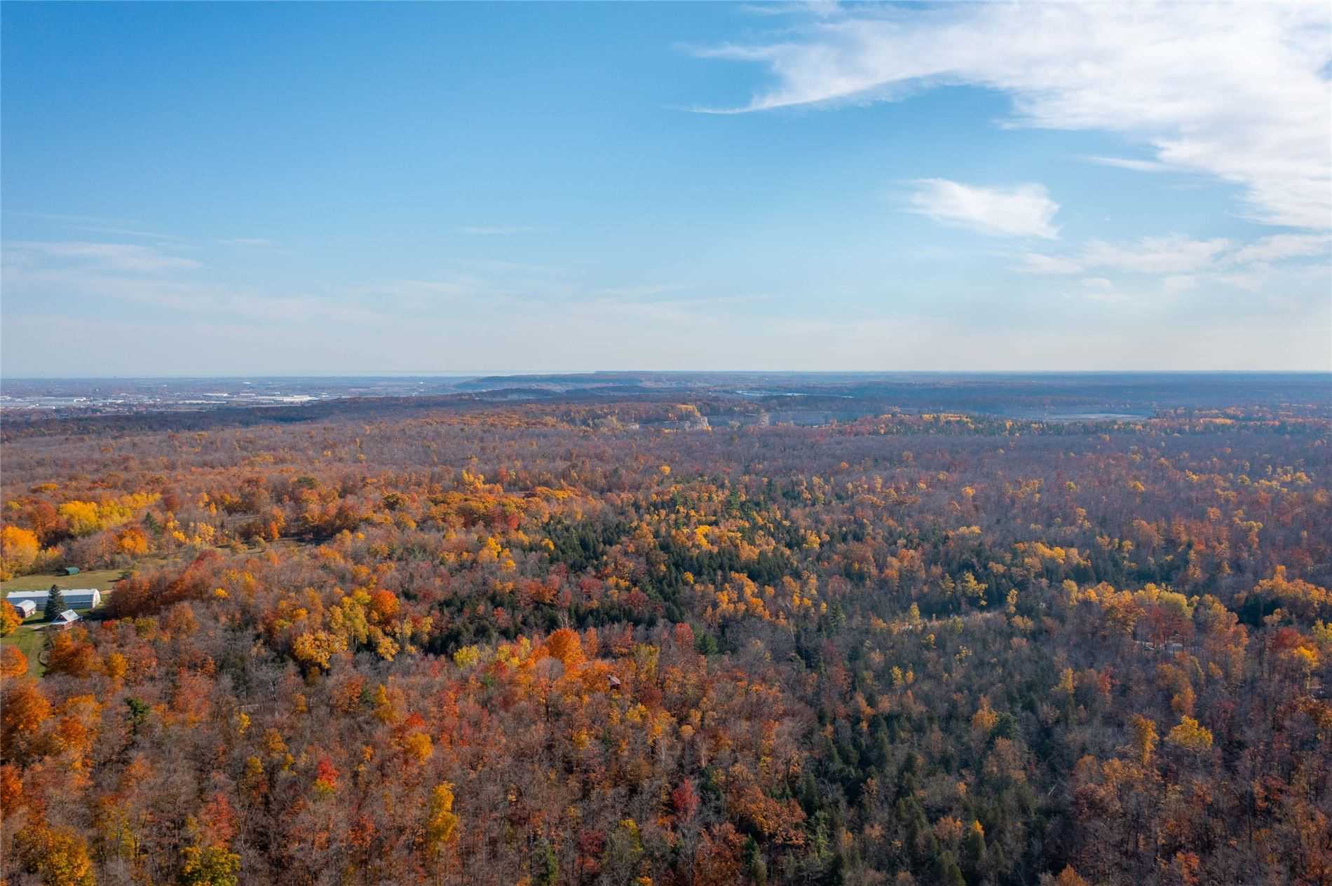 Listing W5789430 - Large Photo # 14