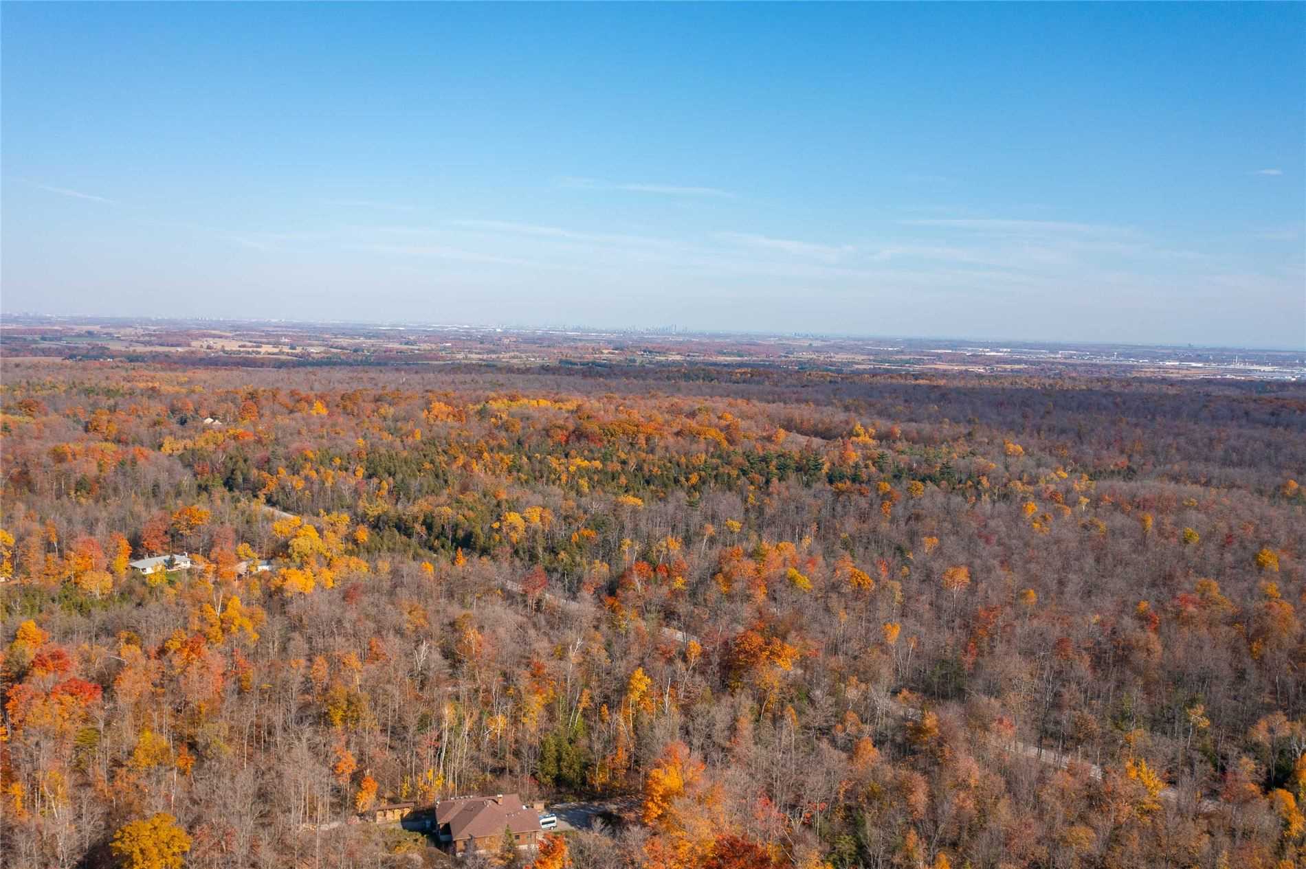 Listing W5789430 - Large Photo # 19