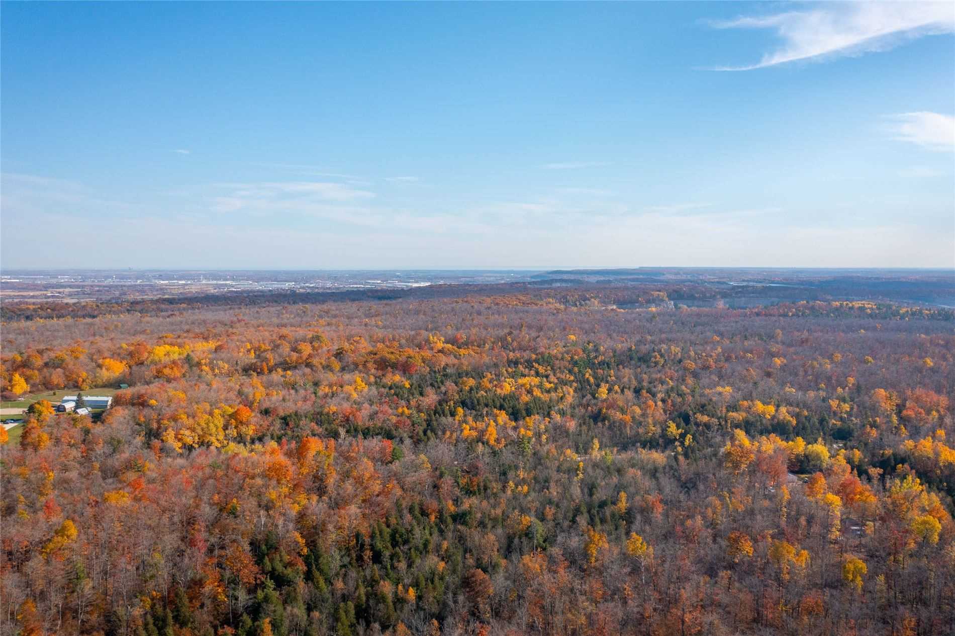 Listing W5789430 - Large Photo # 15
