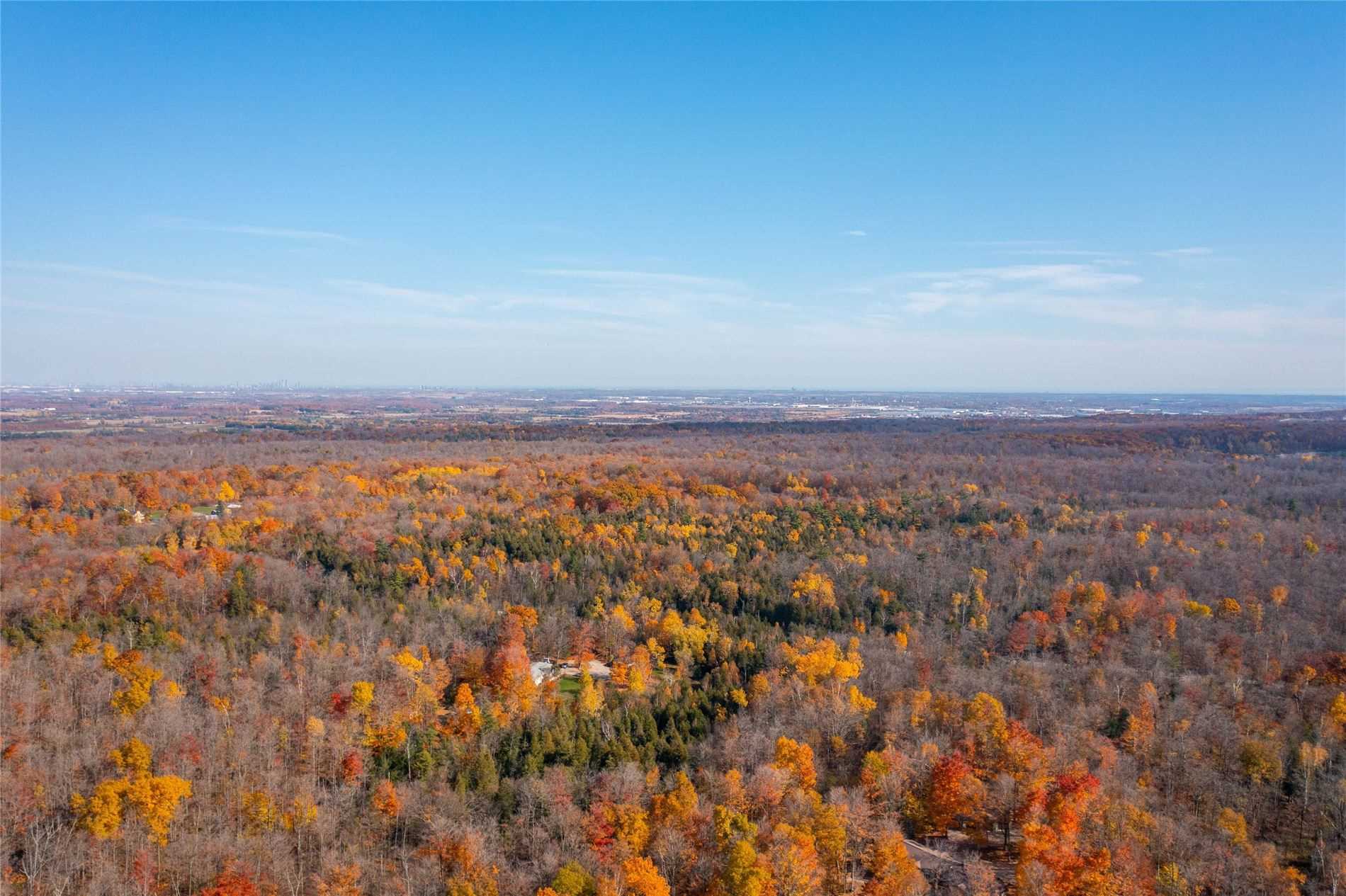 Listing W5789430 - Large Photo # 17