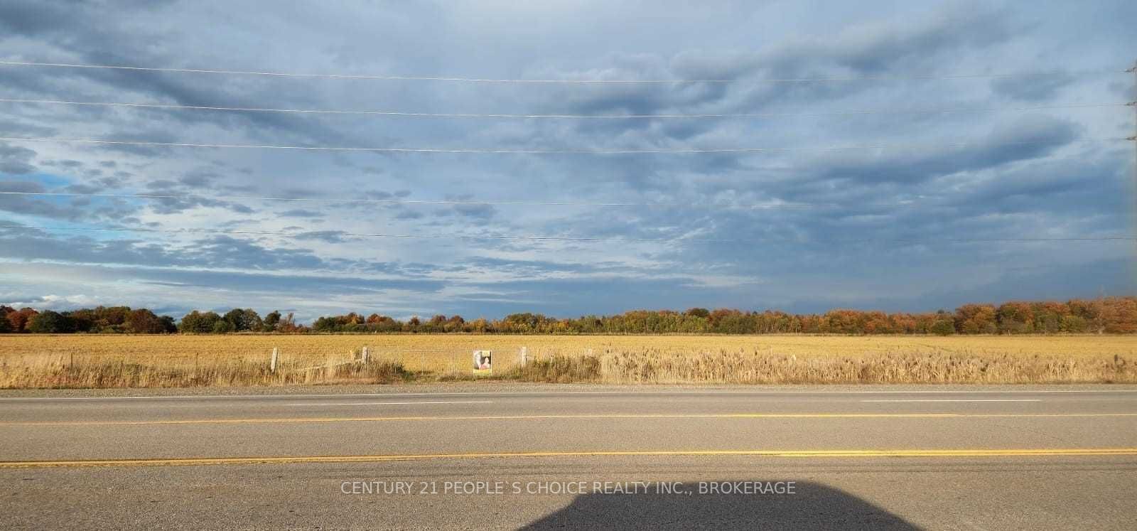 Listing W5796864 - Large Photo # 5