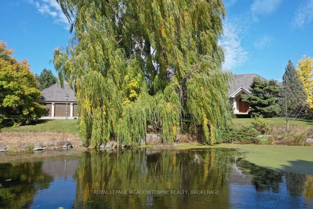 Listing W5808735 - Large Photo # 36