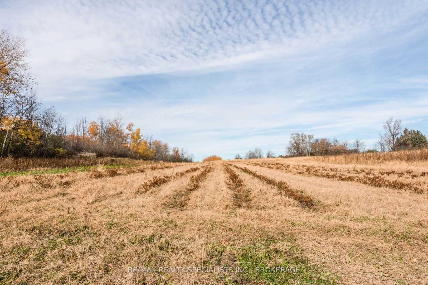 Listing W5811895 - Large Photo # 9