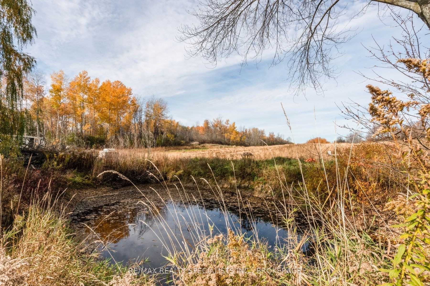 Listing W5811895 - Large Photo # 8