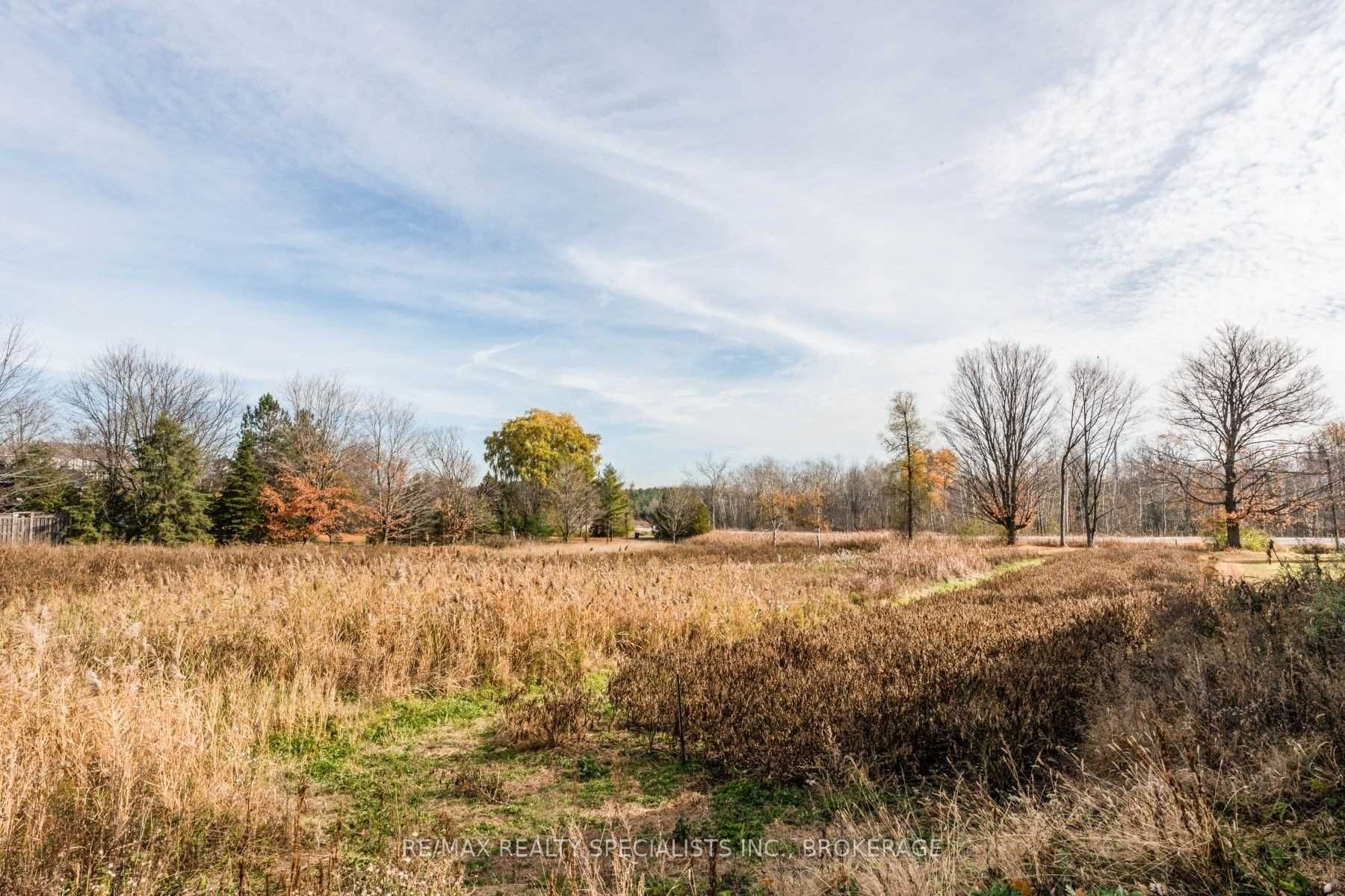 Listing W5811895 - Large Photo # 12
