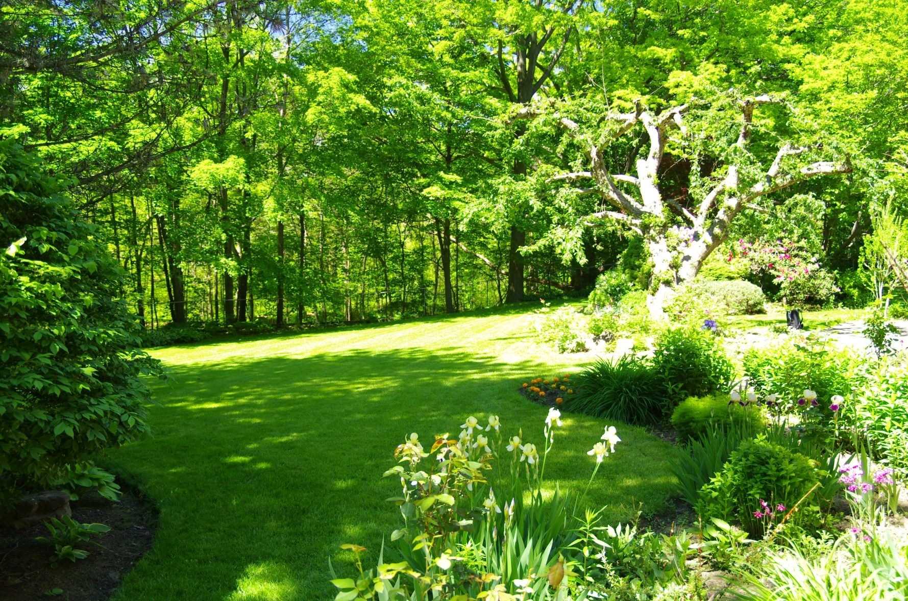 Listing W5814247 - Large Photo # 34