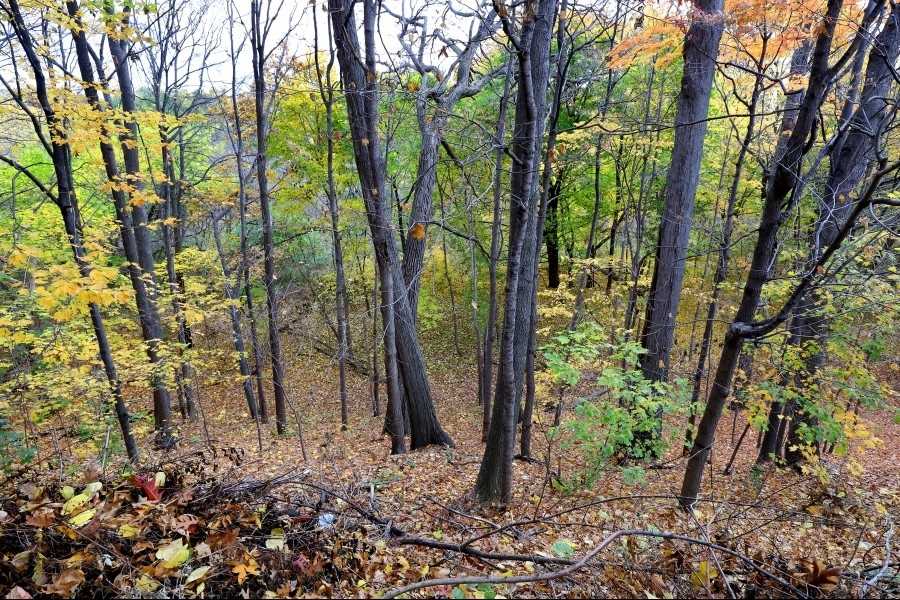 Listing W5817722 - Large Photo # 8
