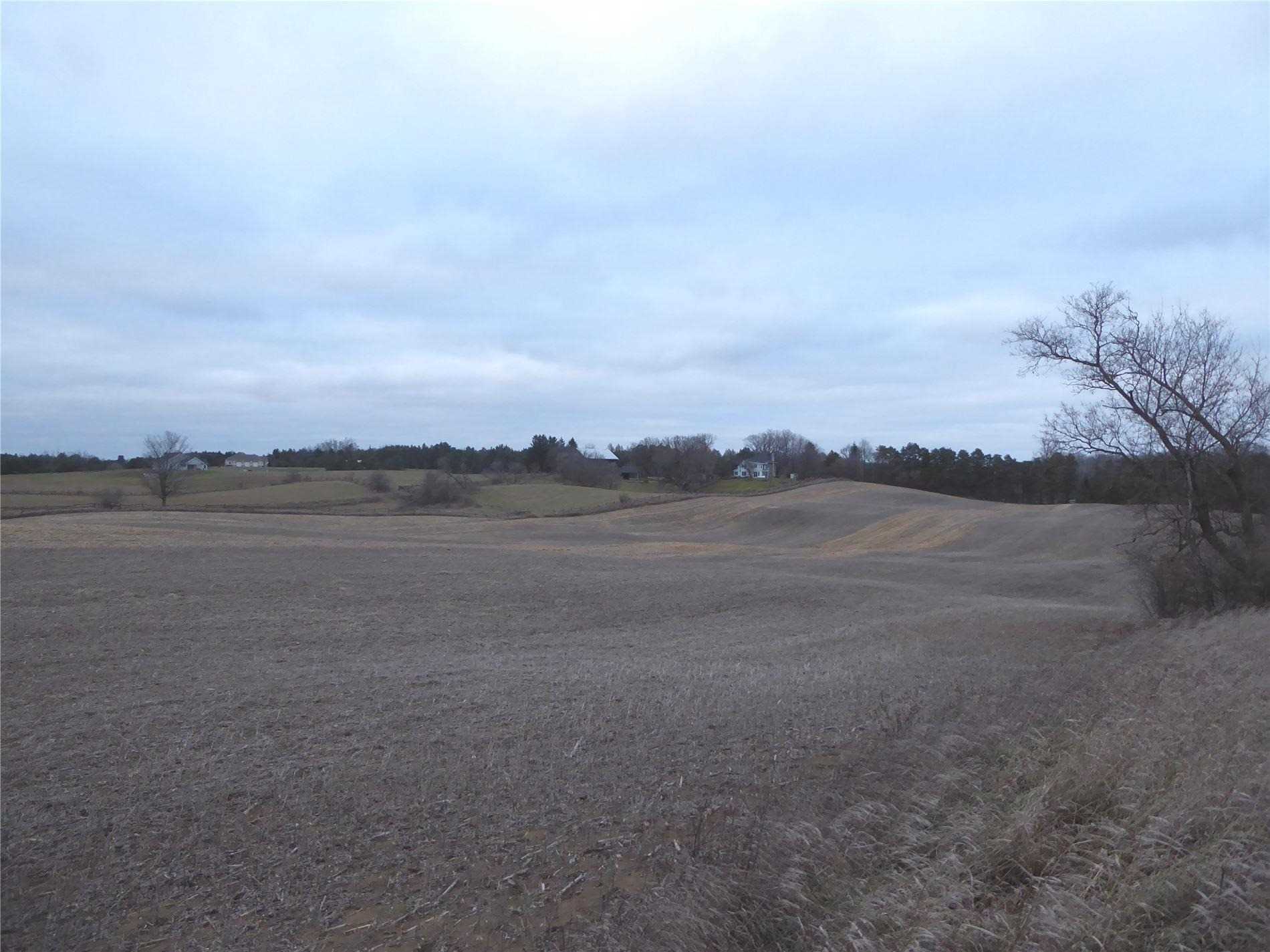 Listing W5839022 - Large Photo # 7