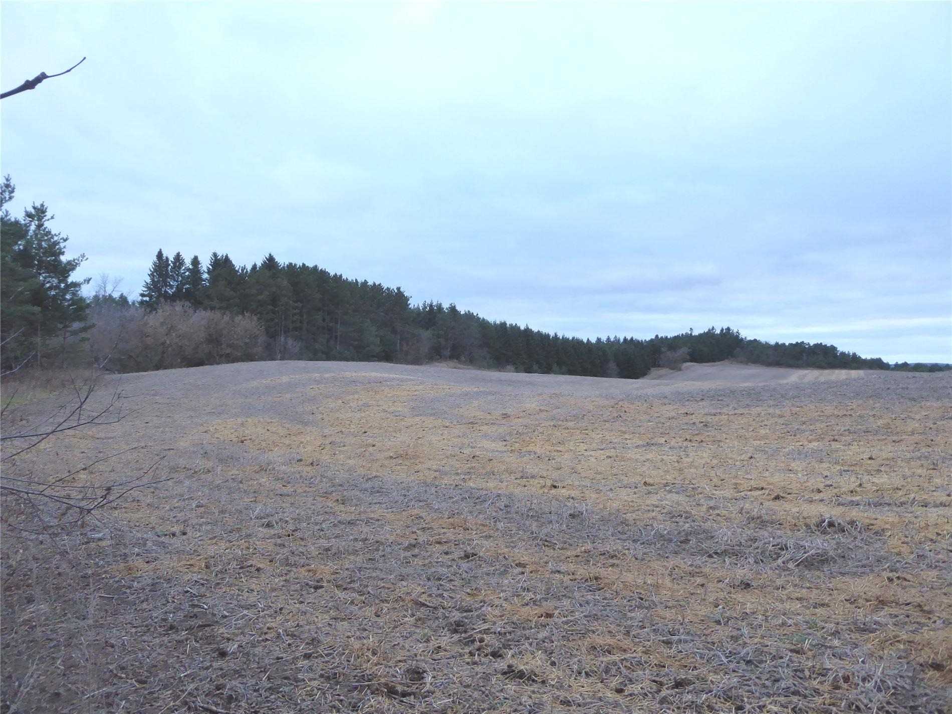 Listing W5839022 - Large Photo # 13