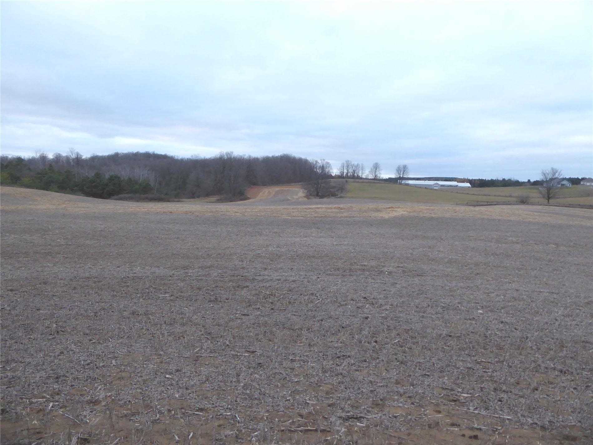 Listing W5839022 - Large Photo # 5