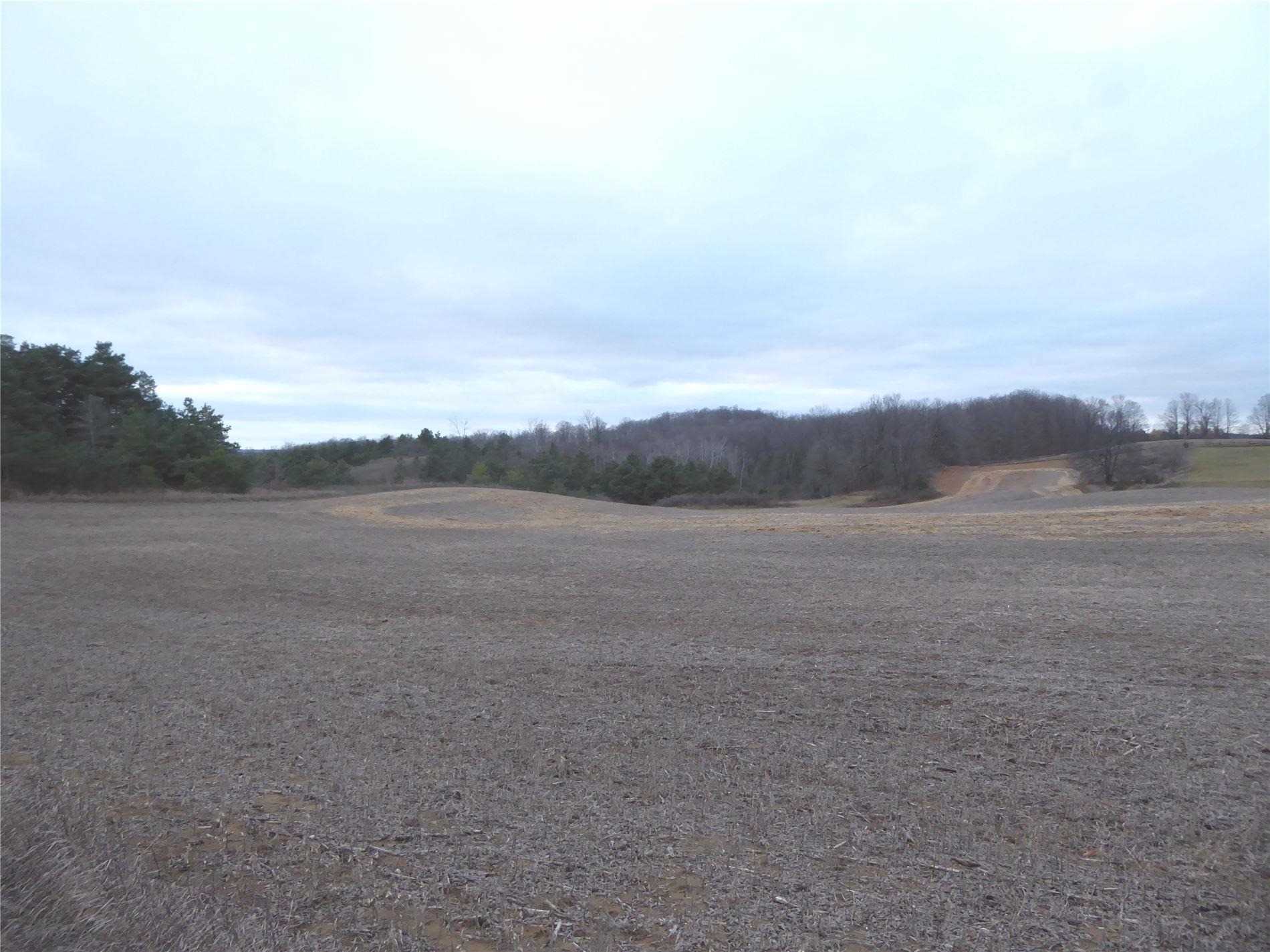 Listing W5839022 - Large Photo # 6