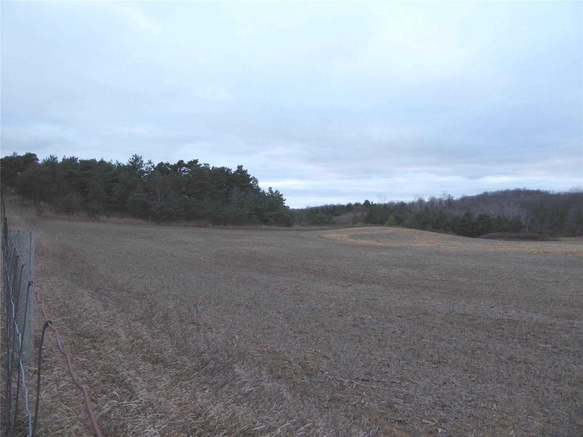 Listing W5839022 - Large Photo # 4