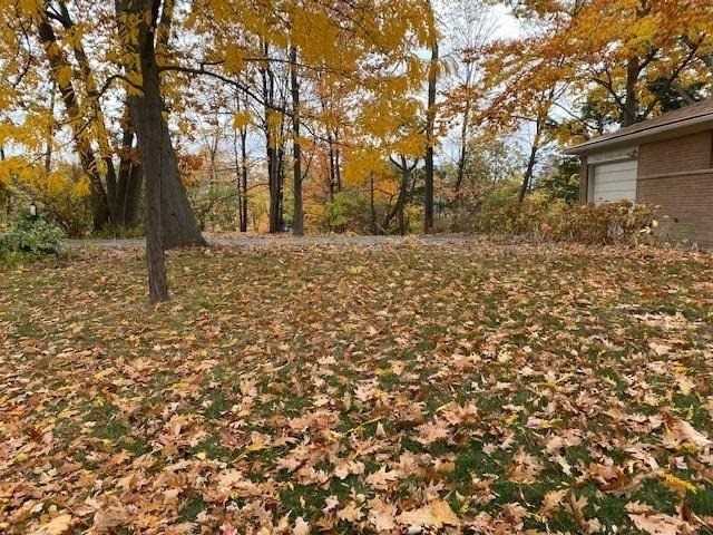 Listing W5848082 - Large Photo # 6