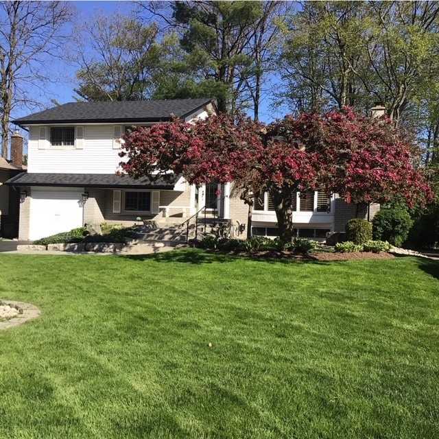Listing W5851103 - Large Photo # 3