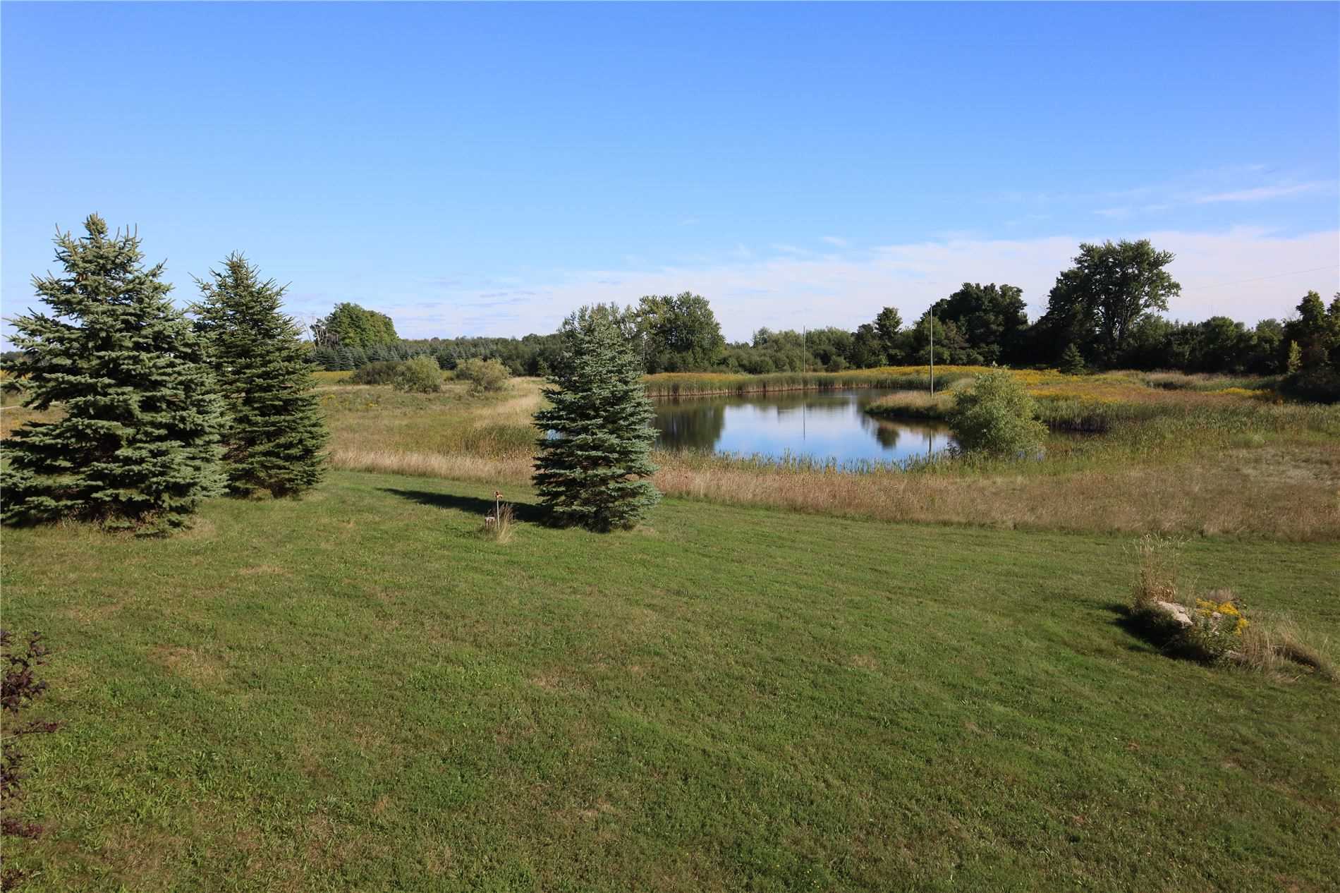Listing W5851596 - Large Photo # 6