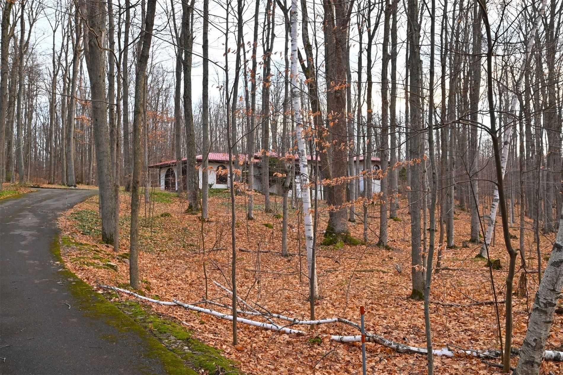 Listing W5852272 - Large Photo # 38