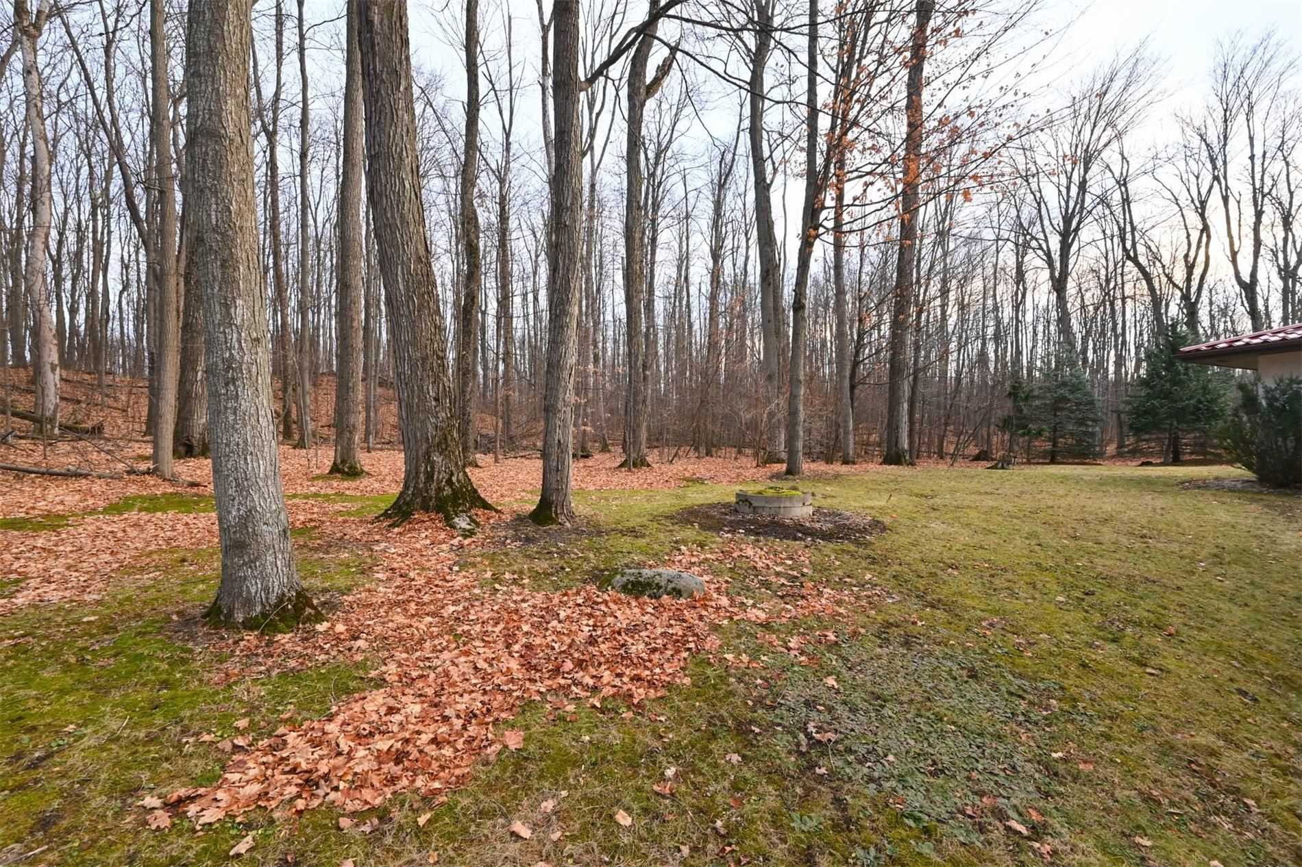 Listing W5852272 - Large Photo # 28