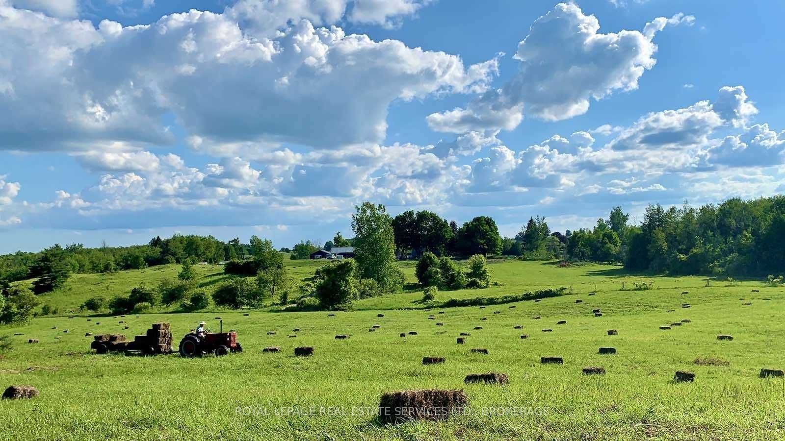 Listing W5855478 - Large Photo # 7